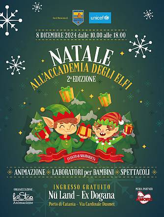 Natale all'accademia degli elfi